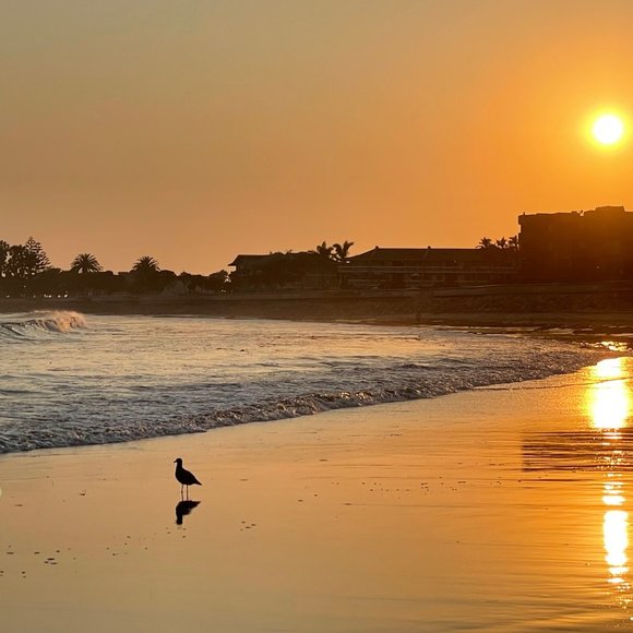 Meet your Posher, Stephanie - Picture 1 of 2